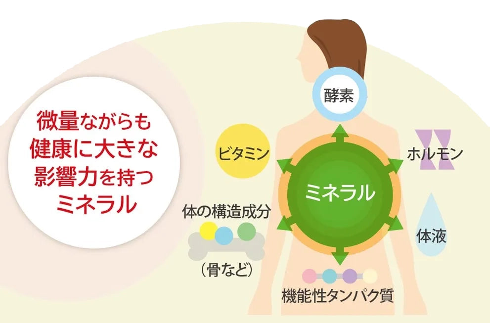 ミネラルの役割